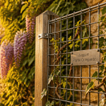 support plante grimpante sur treillis acier façade pierre